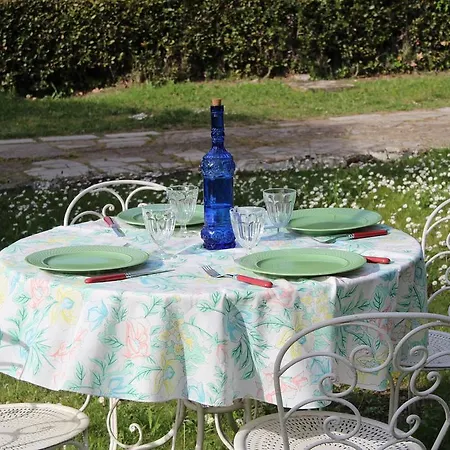 Des Oliviers Fontvieille