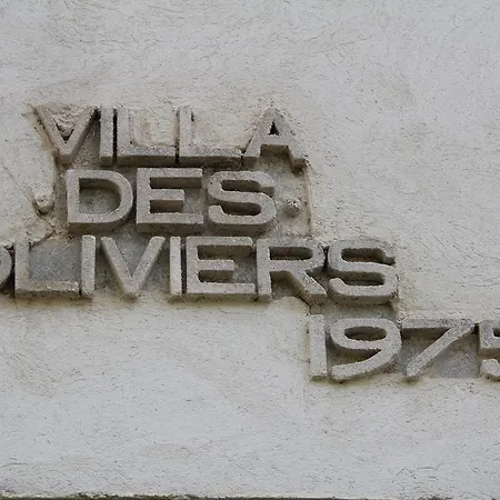 Des Oliviers Fontvieille